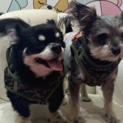 【笑顔　(´▽｀*)って大事だね】