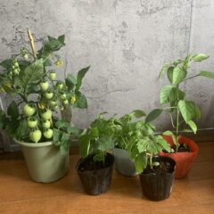 【休みが明けても昼過ぎくらいまでエンジンがかからない説】